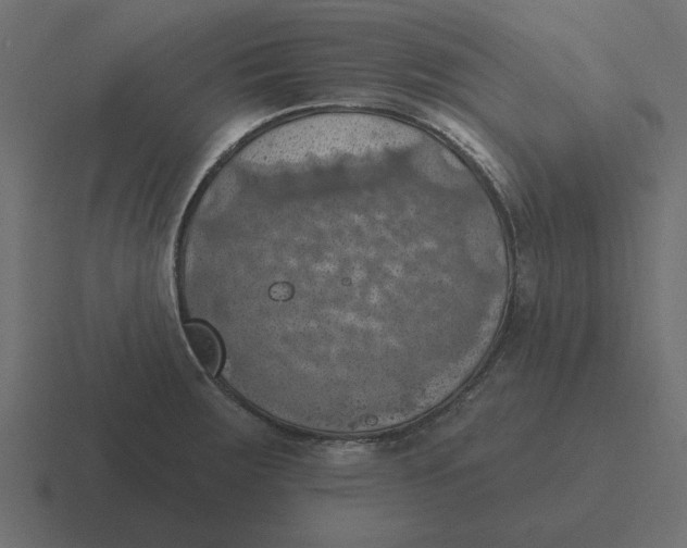 X0000116491283200912292058