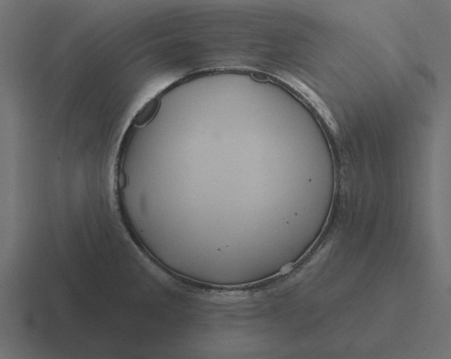 X0000116491285200912292058