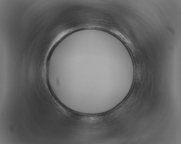 X0000116491286200912292058