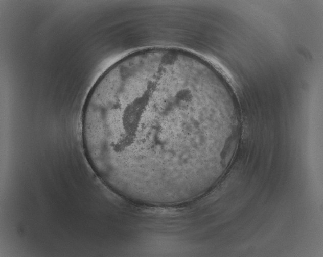 X0000116491287200912292058