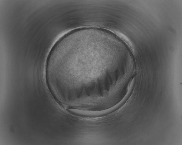 X0000116491288200912292058