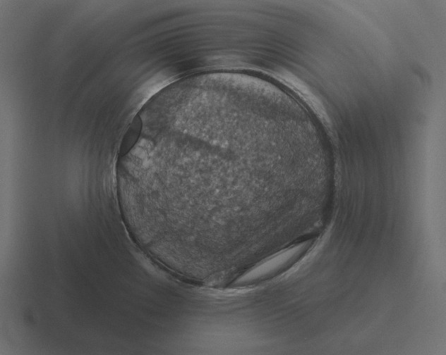 X0000116491289200912292058