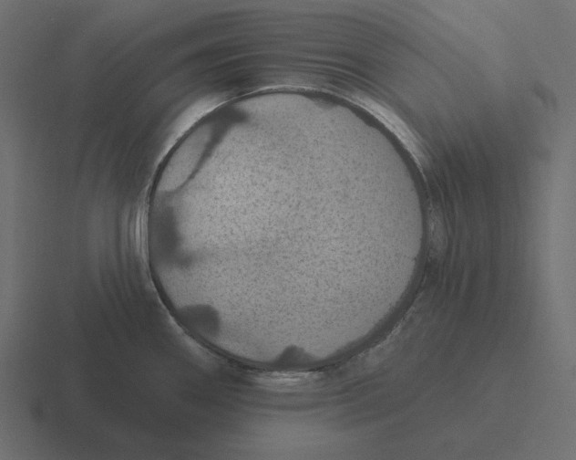 X0000116491290200912292058