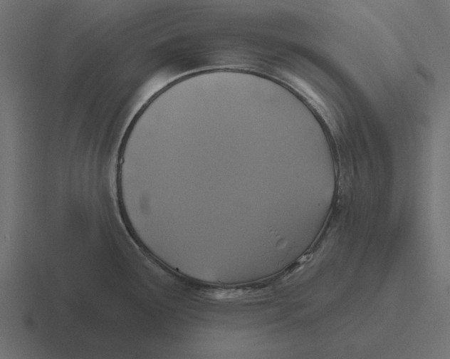 X0000116491291200912292058