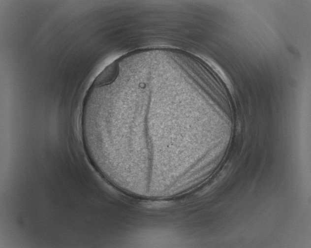 X0000116491293200912292058