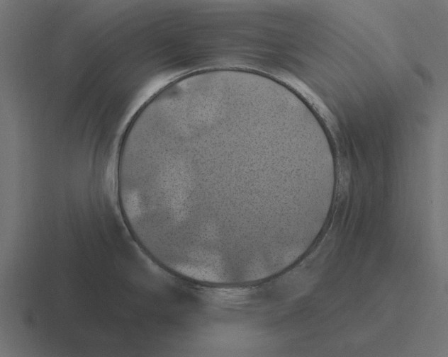 X0000116491294200912292058