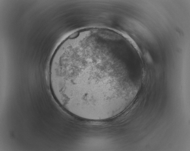 X0000116491295200912292058