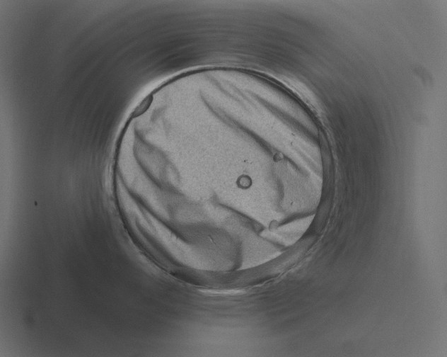 X0000116491296200912292058