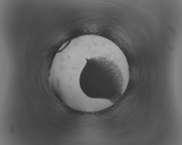 X0000116491297200912292057