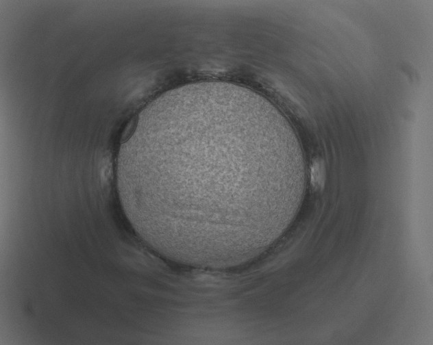 X0000116491299200912292057