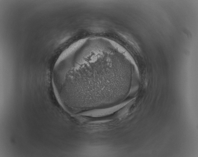 X0000116491301200912292057