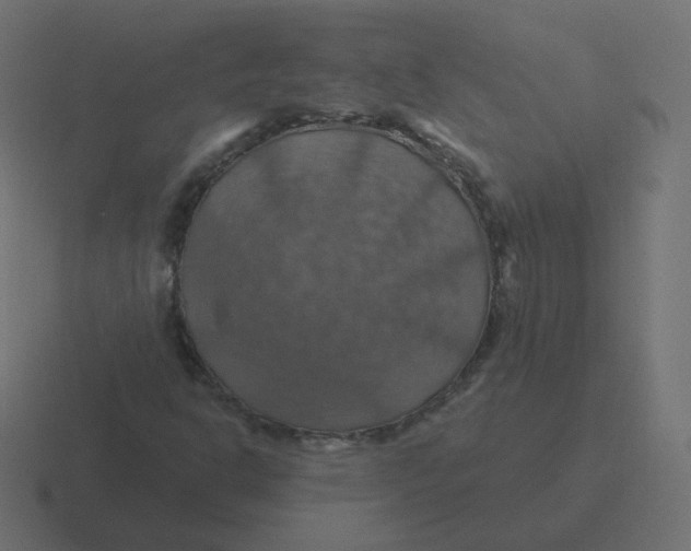 X0000116491302200912292057