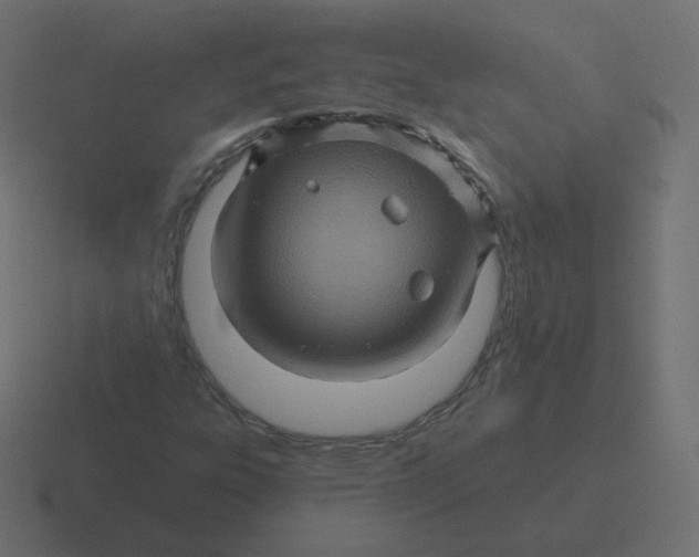 X0000116491303200912292057