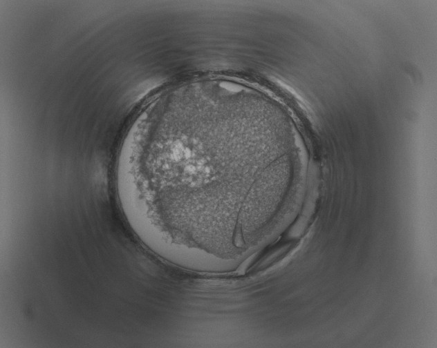 X0000116491305200912292057