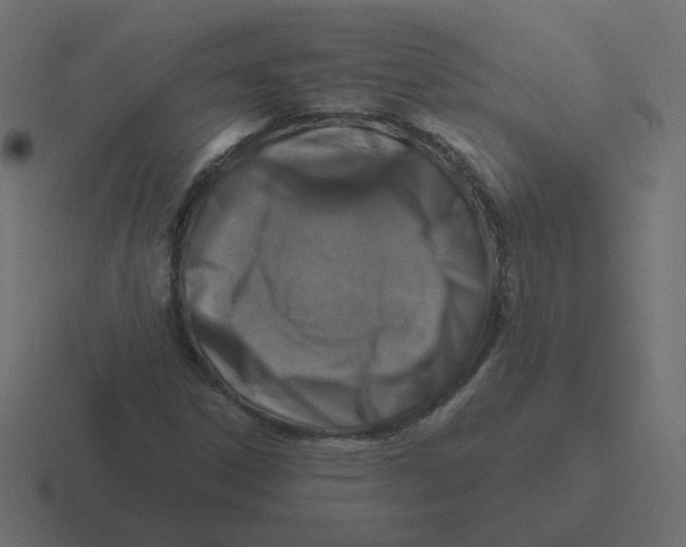 X0000116491306200912292057