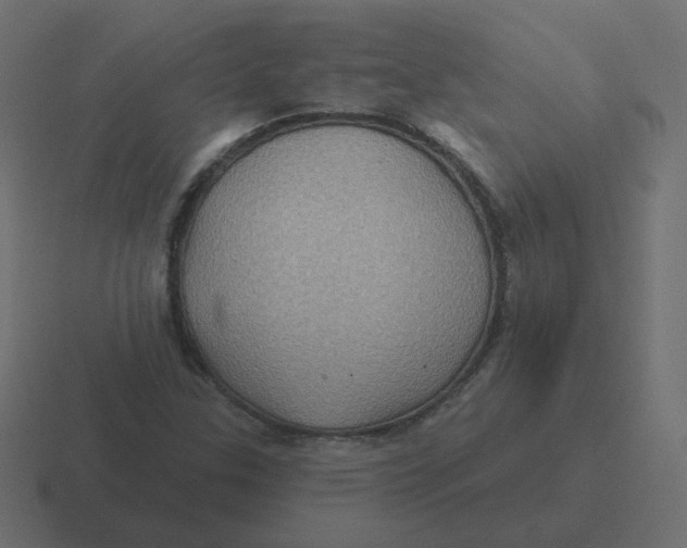 X0000116491307200912292058