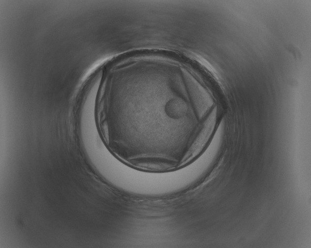 X0000116491310200912292058