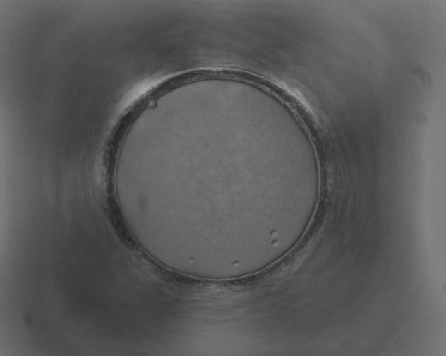 X0000116491311200912292058