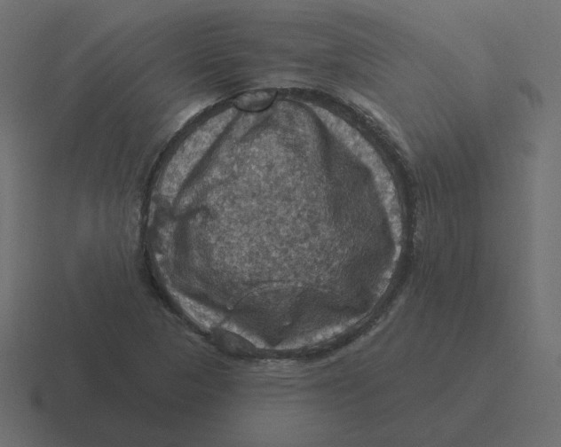 X0000116491313200912292058