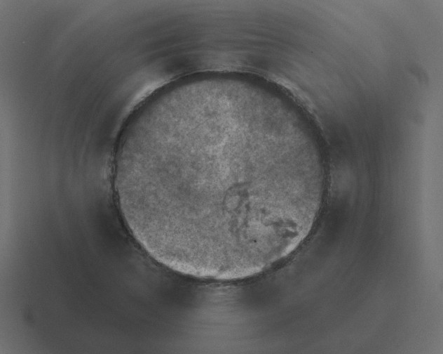 X0000116491314200912292058