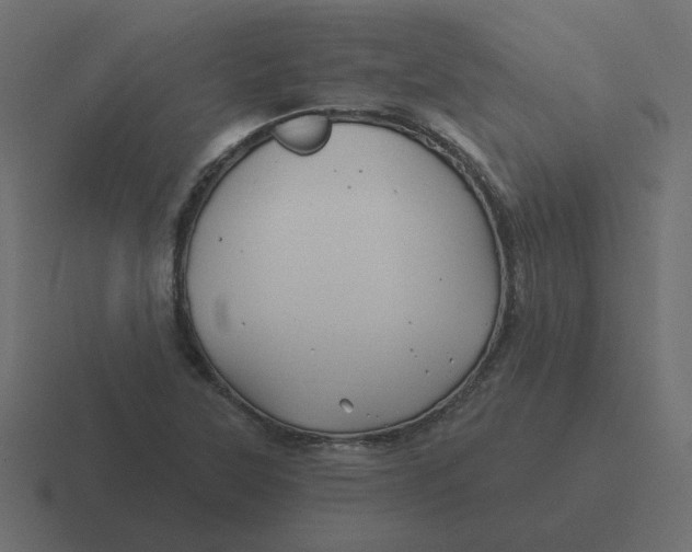 X0000116491315200912292058