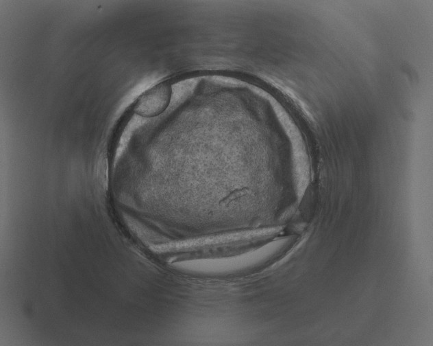 X0000116491317200912292058