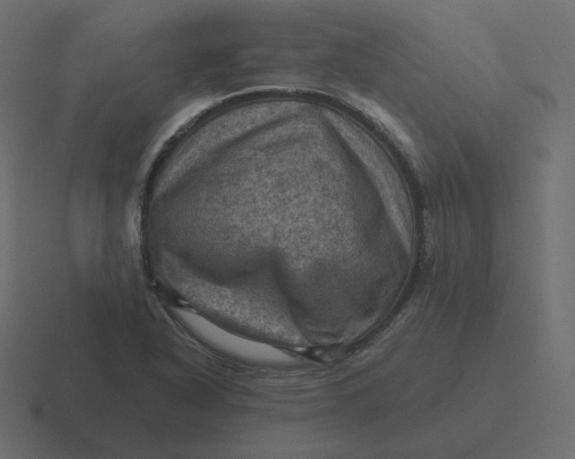 X0000116491318200912292058