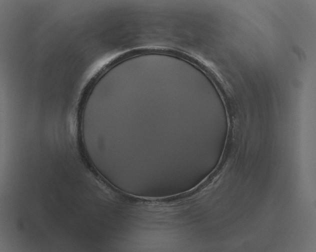 X0000116491319200912292058