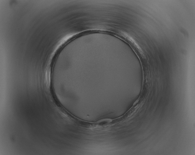 X0000116491323200912292058