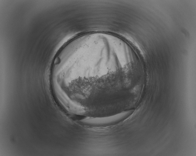 X0000116491325200912292058