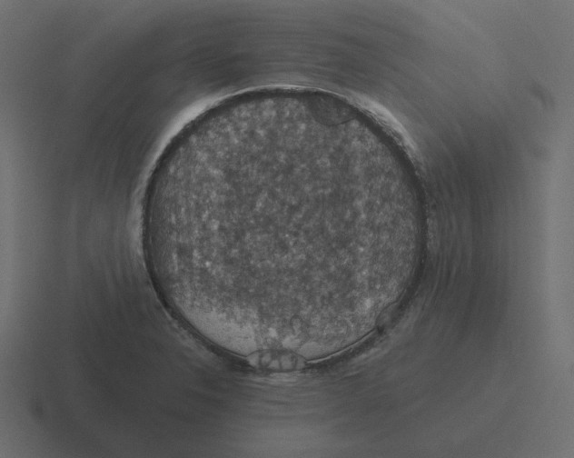 X0000116491326200912292058