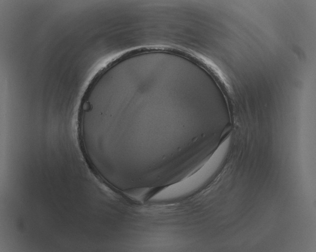 X0000116491327200912292058