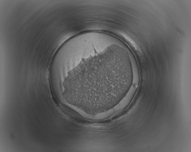 X0000116491329200912292058