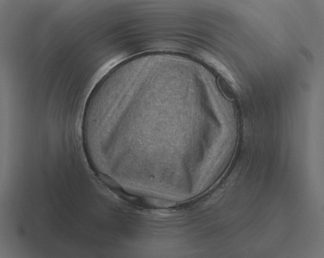 X0000116491330200912292058