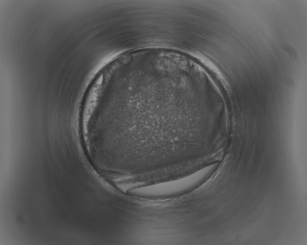 X0000116491333200912292058