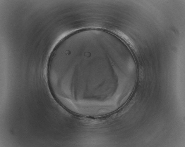 X0000116491334200912292058