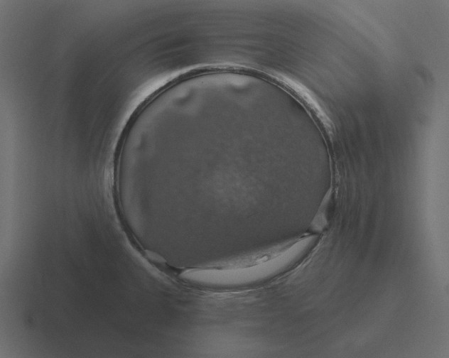 X0000116491335200912292058