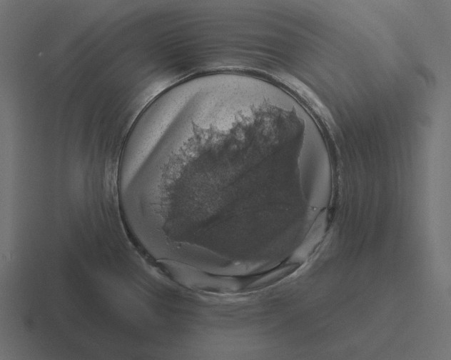 X0000116491337200912292058