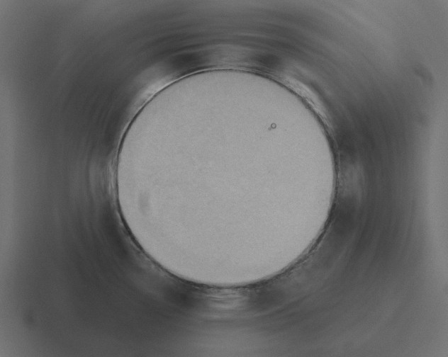 X0000116491338200912292058