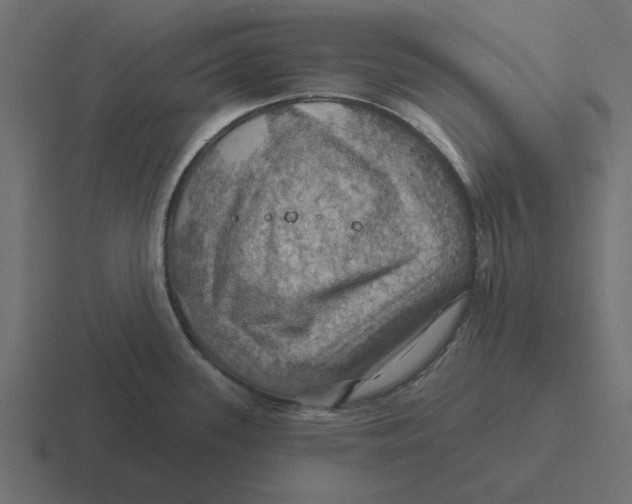 X0000116491339200912292058