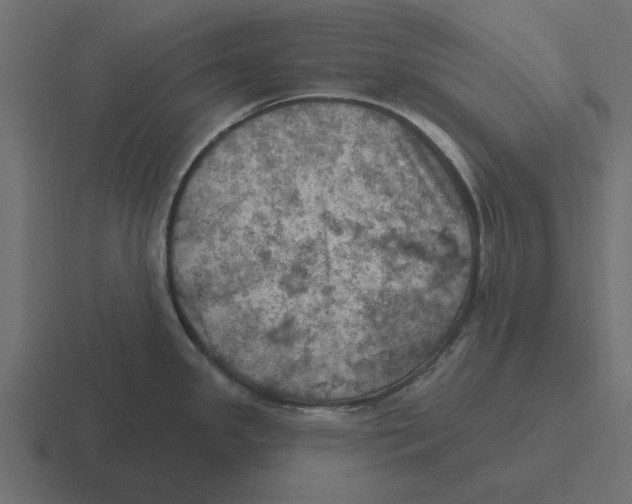 X0000116491341200912292058