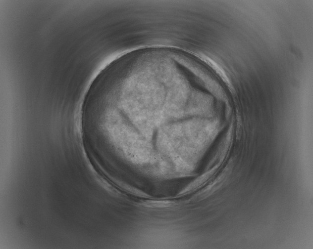 X0000116491342200912292058