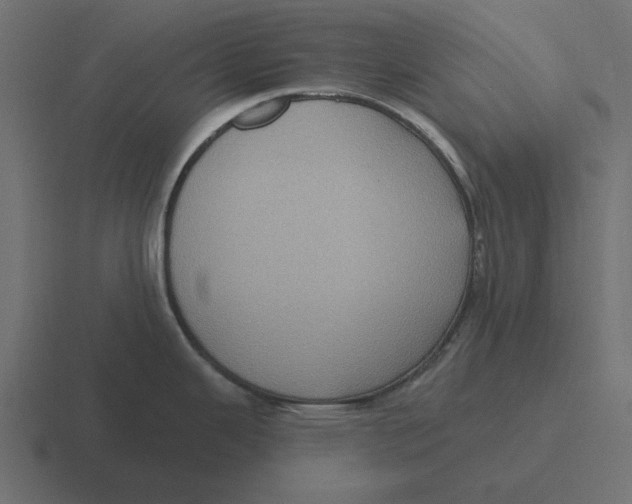 X0000116491343200912292058