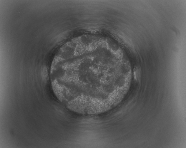 X0000116491347200912292057