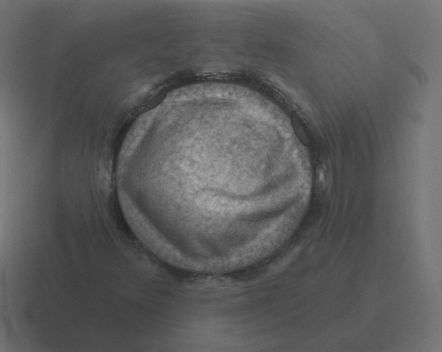 X0000116491348200912292057