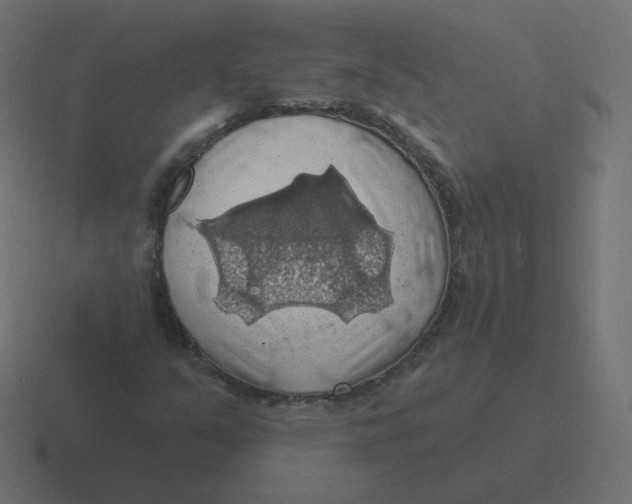 X0000116491351200912292057