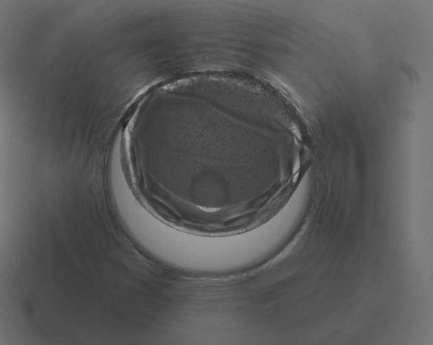 X0000116491353200912292057