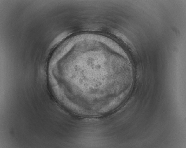 X0000116491354200912292057