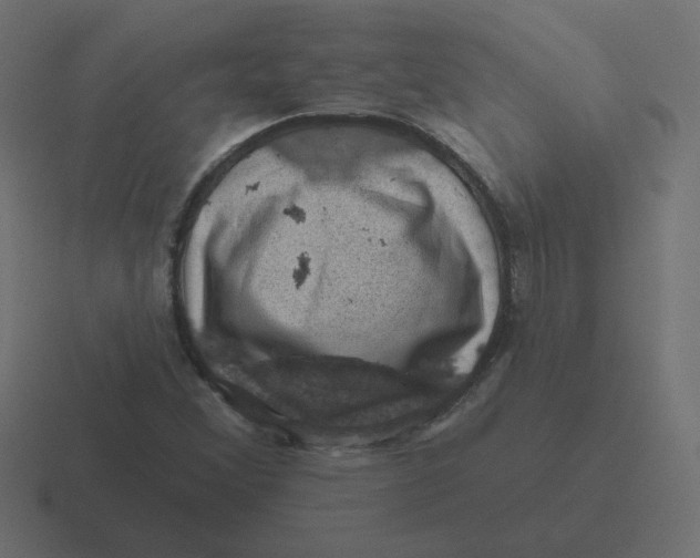 X0000116491356200912292057