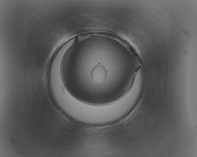 X0000116491357200912292057